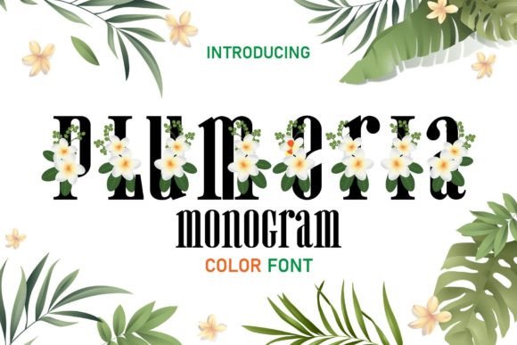 Plumeria Monogram: A Fresh Color Font for Vibrant Designs